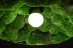 Pendant Light with Ball Moss - Image 4