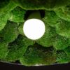Glowing round light bulb nestled inside a lamp fixture lined with textured green preserved moss.