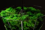 Pendant light with island moss and ball moss - Image 6