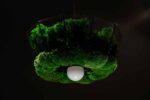 Pendant light with island moss and ball moss
