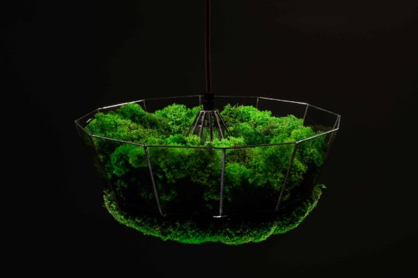 Pendant light with island moss and ball moss - Image 4