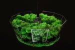Pendant light with island moss and ball moss - Image 3