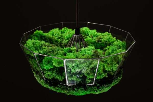 Pendant light with island moss and ball moss - Image 3
