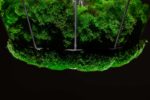 Pendant light with island moss and ball moss - Image 2