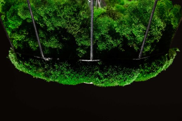 Pendant light with island moss and ball moss - Image 2