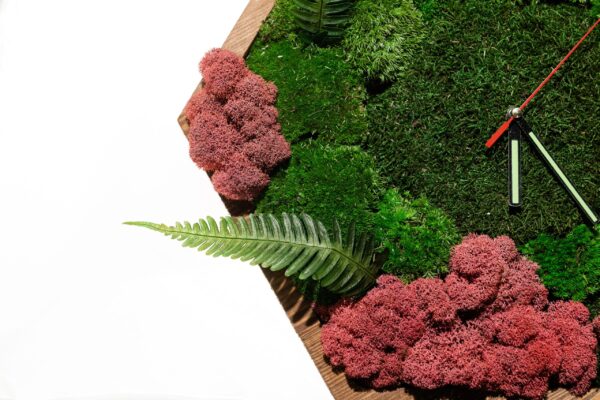 Hexagon Clock with Moss and Plants - Image 5