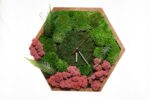 Hexagon Clock with Moss and Plants