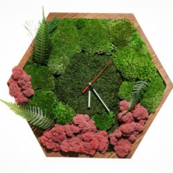 Hexagonal wooden wall clock decorated with green moss, pink lichen, and fern fronds around central clock hands.