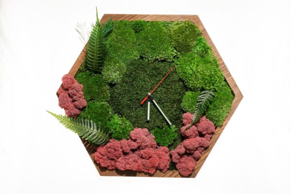 Hexagonal wooden wall clock decorated with green moss, pink lichen, and fern fronds around central clock hands.