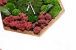 Hexagon Clock with Moss and Plants - Image 6