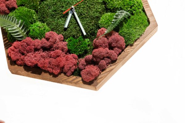 Hexagon Clock with Moss and Plants - Image 6