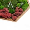 Hexagonal wooden clock face filled with preserved green and red moss and small fern leaves.