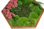 Hexagon Clock with Moss and Plants - Image 4