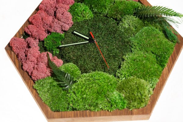 Hexagon Clock with Moss and Plants - Image 4