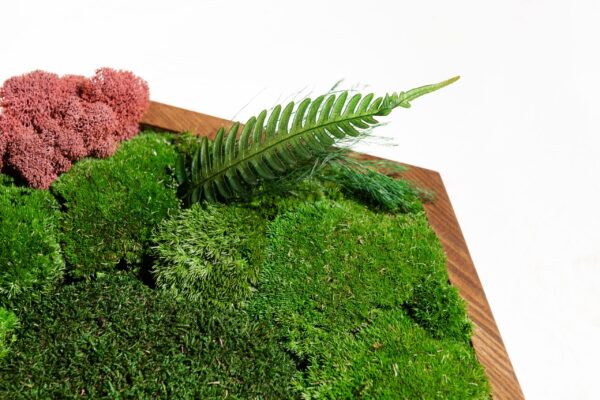 Hexagon Clock with Moss and Plants - Image 3