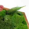 Preserved green moss, a fern leaf, and pink reindeer moss set in a wooden frame.