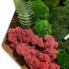 Wooden wall clock featuring preserved green moss, pink reindeer moss, a fern frond, and clock hands.