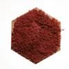 Hexagonal wooden frame filled with dense red preserved moss against a white background.