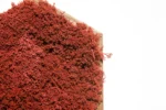 Hexagonal Moss Picture with Reindeer Moss - Image 4