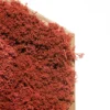 Textured red preserved moss mounted in a hexagonal wooden frame against a white background.