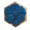 Hexagonal wooden frame filled with textured blue preserved moss on a white background.