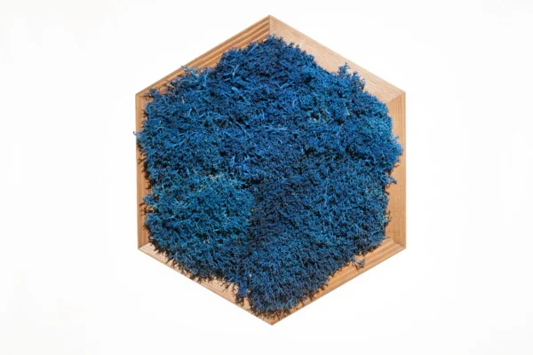 Hexagonal wooden frame filled with textured blue preserved moss on a white background.