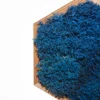 Hexagonal wooden frame filled with vibrant blue preserved moss against a white background.