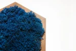 Hexagonal Moss Picture with Reindeer Moss - Image 5
