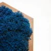 Hexagonal wooden frame filled with dense dark blue preserved moss against a white background.