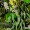 Close-up of preserved jungle moss wall art showing eucalyptus leaves, fern fronds, and green moss textures