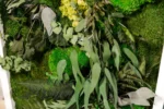 Jungle Moss Wall Art with Moss and Plants - Image 4