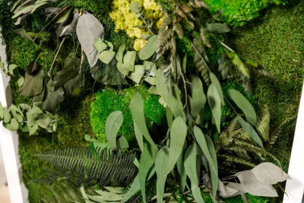 Jungle Moss Wall Art with Moss and Plants - Image 4