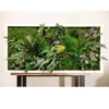 Framed rectangular moss wall art featuring preserved jungle moss, ferns, and mixed botanical foliage