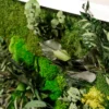 Close-up of preserved green moss wall art with textured ferns, eucalyptus leaves, and white wooden frame
