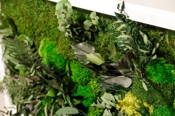 Jungle Moss Wall Art with Moss and Plants - Image 2