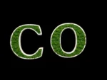 Wooden Logo with Moss - Image 8