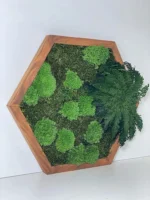 Hexagon Moss Wall Art with Moss and Plants - Image 2