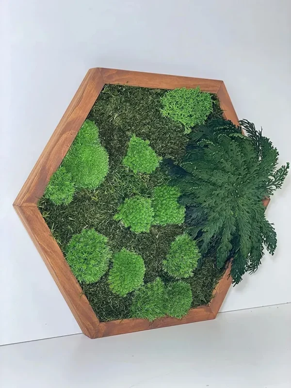 Hexagon Moss Wall Art with Moss and Plants - Image 2