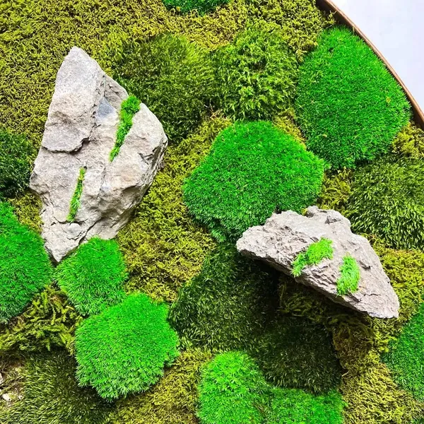 Green moss wall art with textured gray rocks and bright green moss mounds.