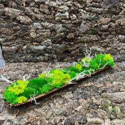 Long wooden dish arranged with bright green moss and white twigs on a textured tree bark surface.