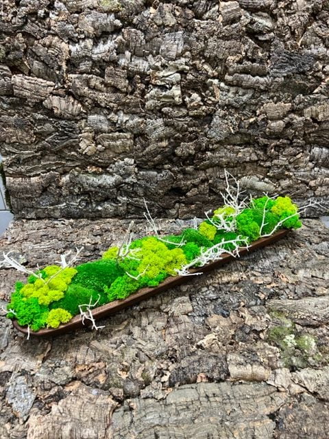 Long wooden dish arranged with bright green moss and white twigs on a textured tree bark surface.