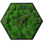 Hexagonal Wall Clock with Black Frame, Ball Moss, and Black Numerals
