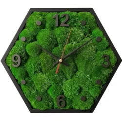 Hexagonal Wall Clock with Black Frame, Ball Moss, and Black Numerals