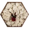 Hexagonal preserved reindeer moss wall art with a centered rose in a wooden frame