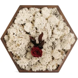 Hexagon mit Islandmoos und Rose