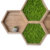 Hexagonal wooden wall shelves featuring vibrant green moss panels and a small grey planter on a white wall.