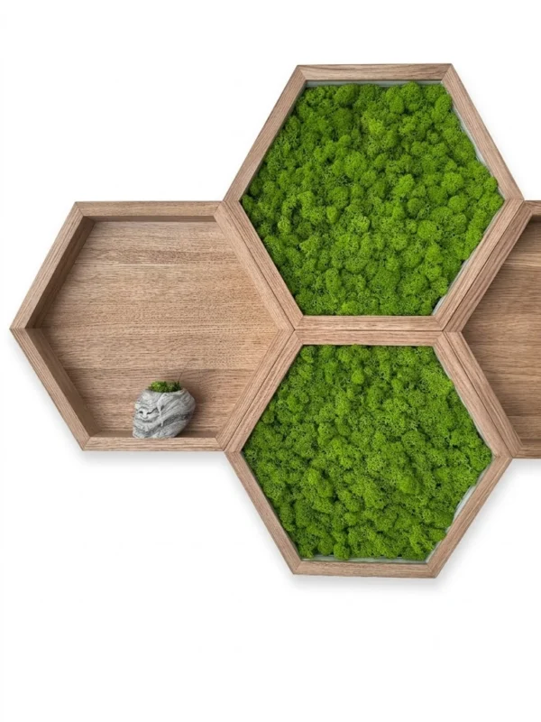 Hexagonal wooden wall shelves featuring vibrant green moss panels and a small grey planter on a white wall.