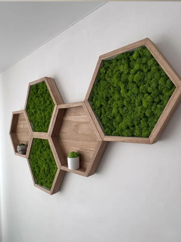 Wooden hexagonal wall shelves filled with green preserved moss and small potted plants on a white wall