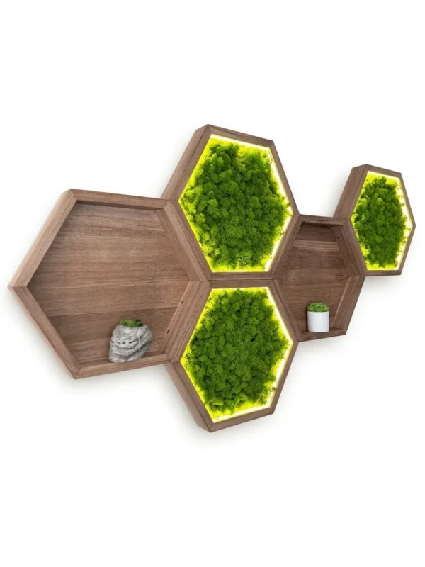 Hexagonal wooden wall shelves filled with backlit green moss and small potted plants.