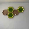 Wooden hexagon wall shelves with backlit green moss panels and small decor items mounted on a white wall.